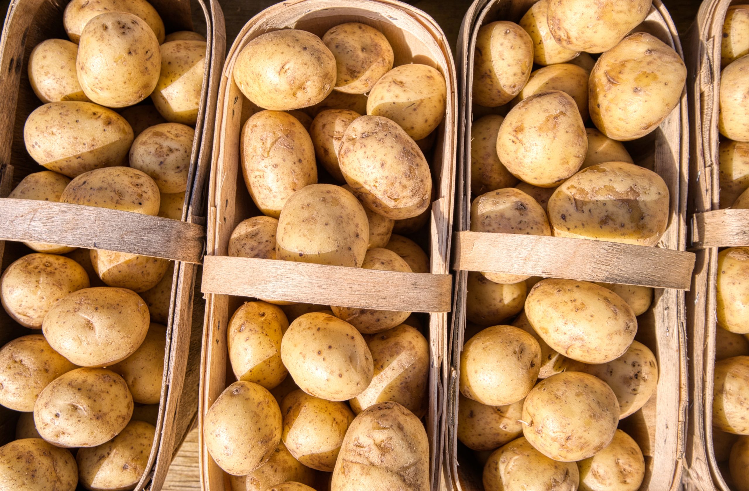 Basket of potatoes. Potatoes are a rich source of potassium. 