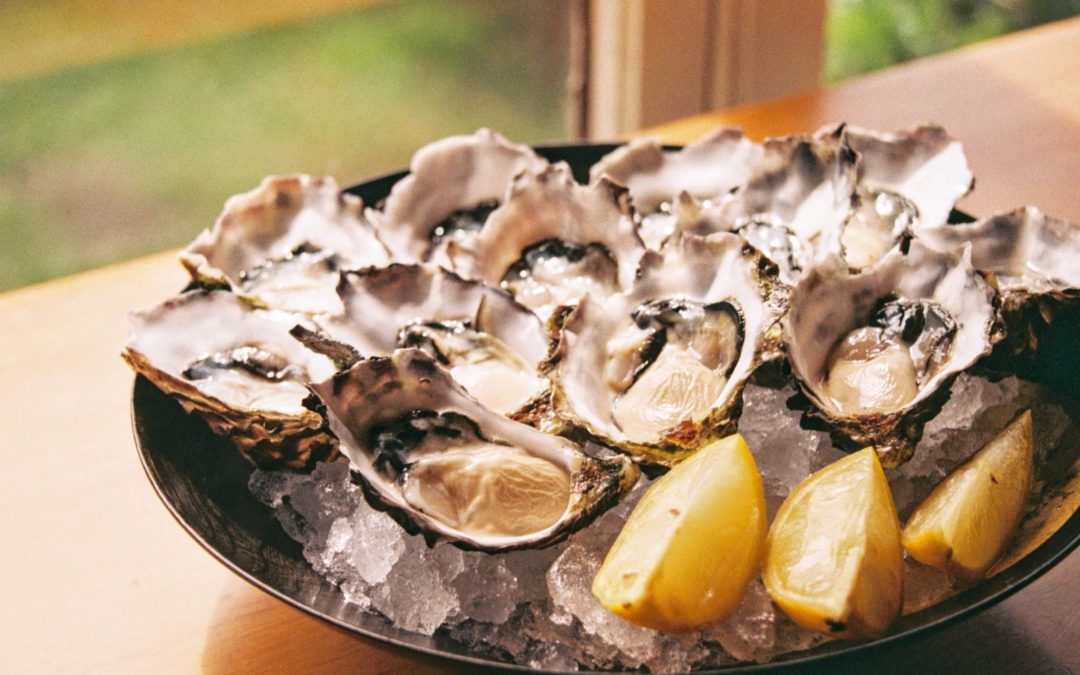 A bowl of oysters on ice. Image from Unsplash.