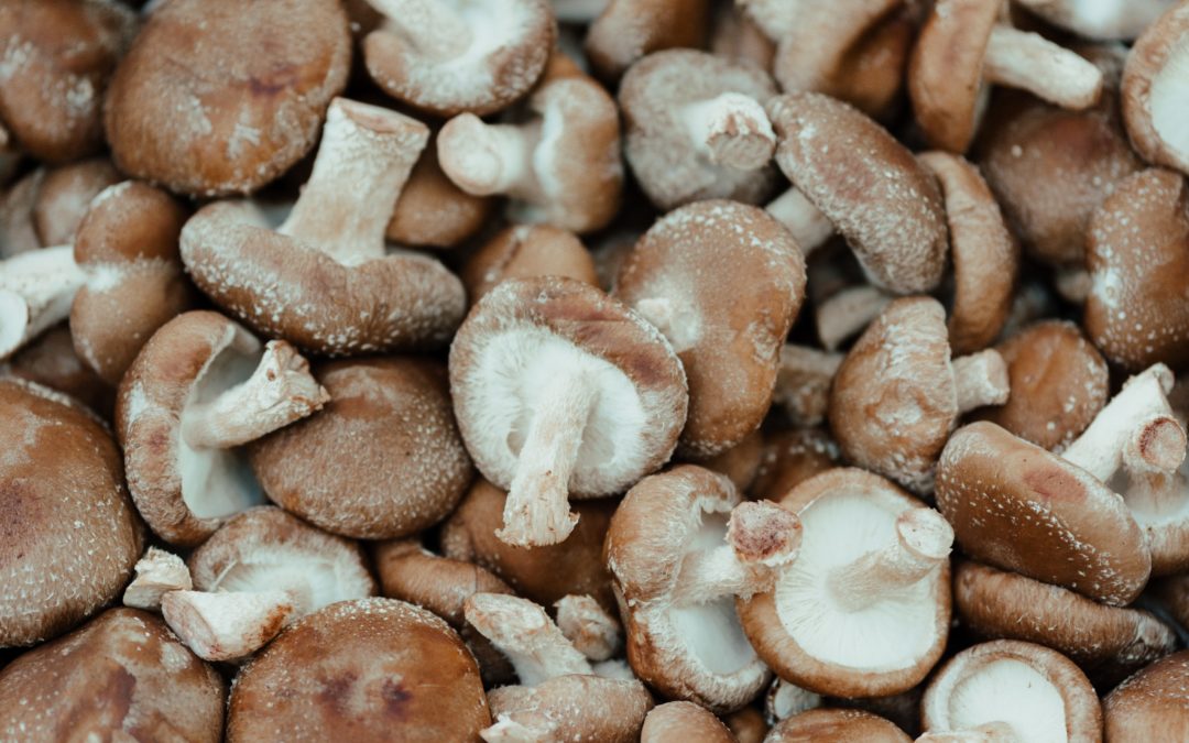 Shiitake mushrooms are a great source of vitamin B5.