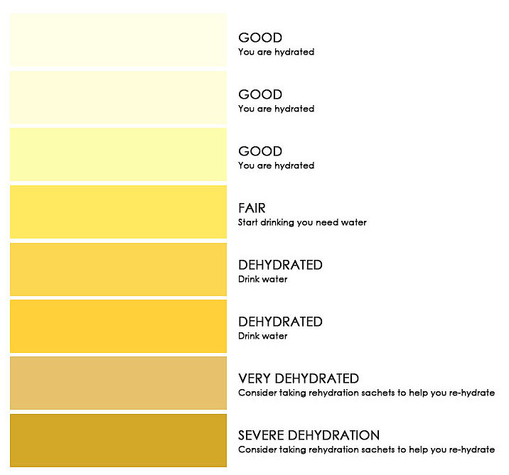 Chart used to determine hydration levels from urine.
