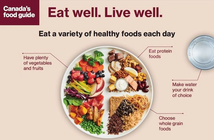 Sample plate from Canada's Food Guide. CFG is designed to help you meet your nutrition needs.