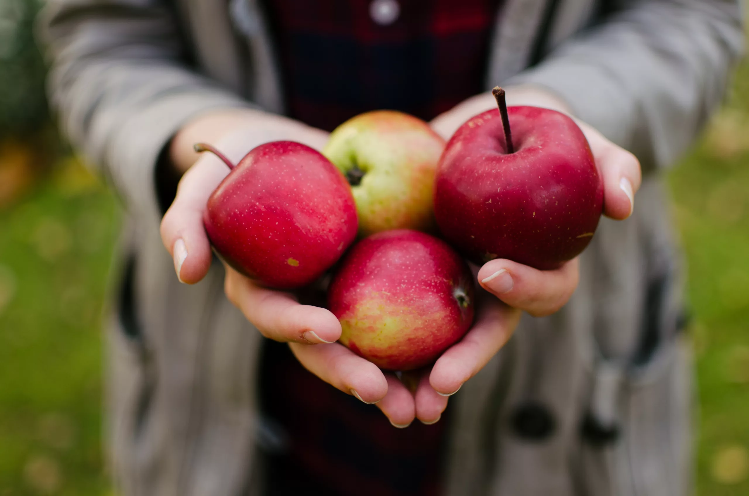 Apples are a great source of fibre. There are many health benefits of fibre.