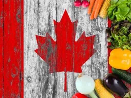 Strengthening Food Security in Canada: Why Local Food Matters