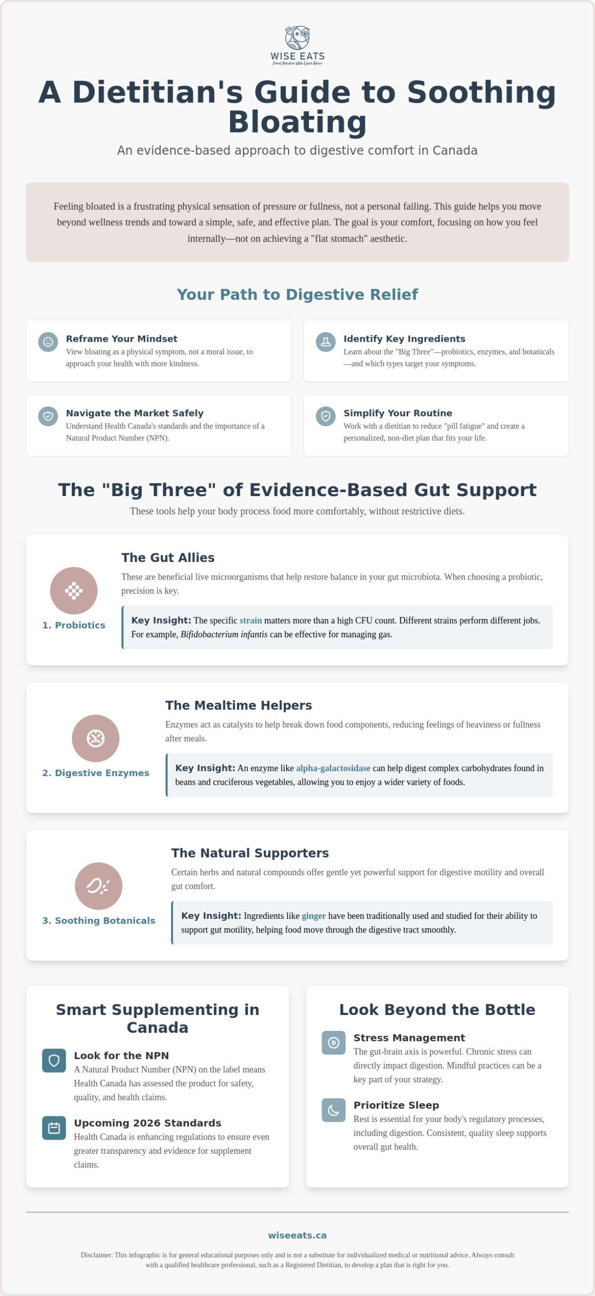Best Supplements for Gut Health and Bloating: A Canadian Dietitian’s Guide